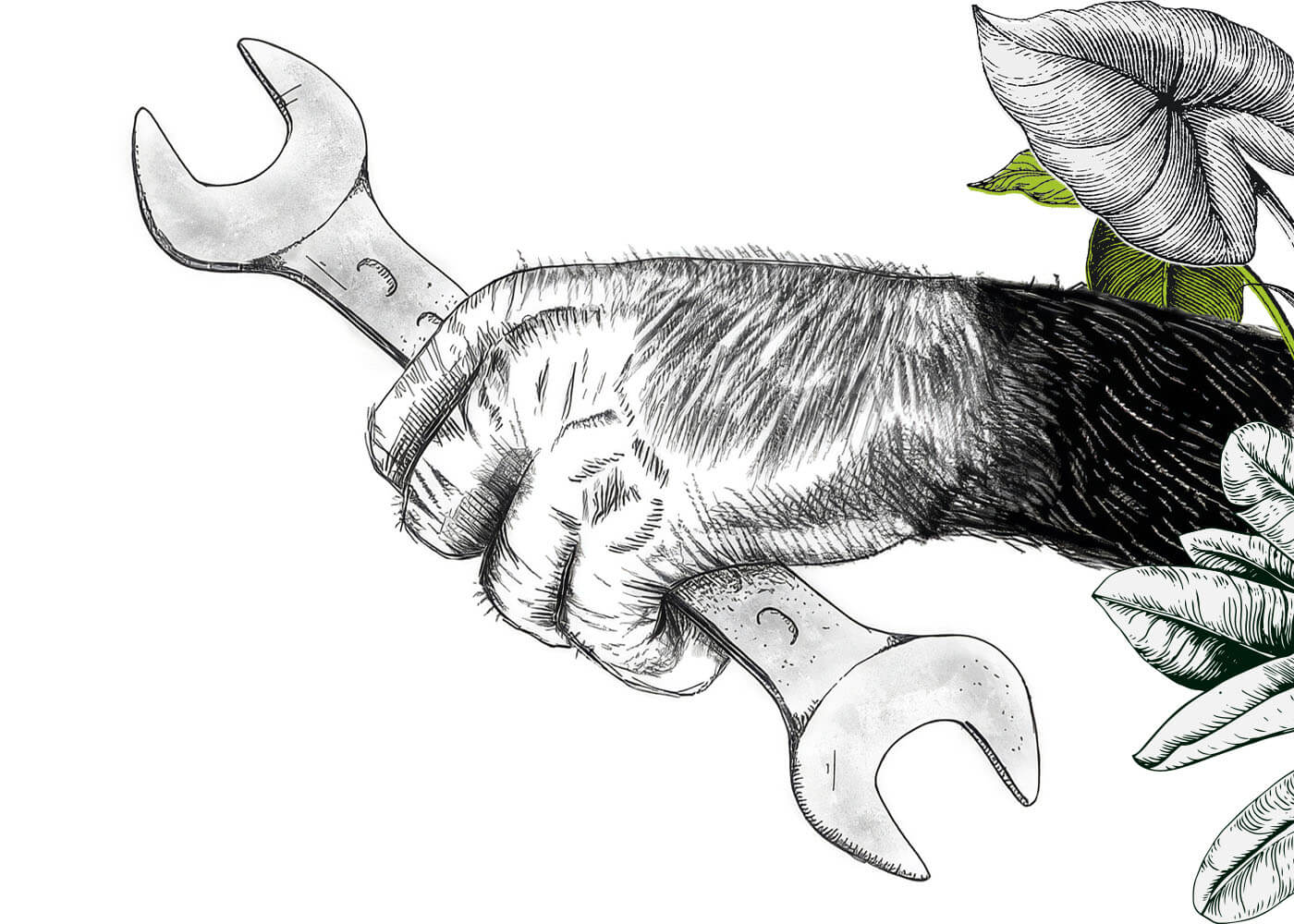 A chimpanzee paw extending from the side of the screen with a wrench in hand.